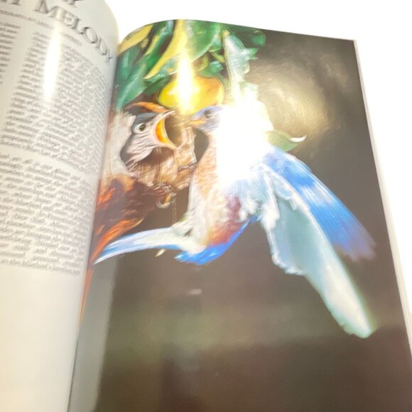 1989 Audubon Nature Yearbook By Les Line Editor Hardcover Book - Picture 8 of 8